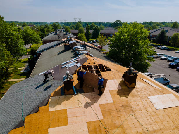 Quick and Trustworthy Emergency Roof Repair Services in Mona, UT